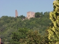 LIMBURG03