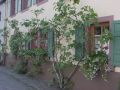 UNGSTEINA03