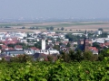 GRUENSTADT_2