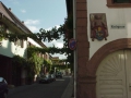 SAUSENHEIM03