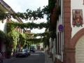SAUSENHEIM04