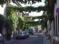 SAUSENHEIM05