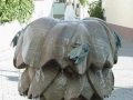 SAUSENHEIM11