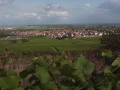 SAUSENHEIM12