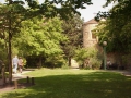 DEIDESHEIM56