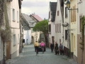 FORST01
