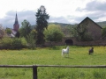 FORST02_2