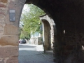FREINSHEIM17