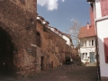 FREINSHEIM20