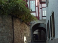 FREINSHEIM481