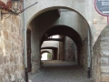 FREINSHEIM511