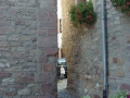 FREINSHEIM601