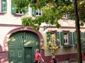 FREINSHEIM701