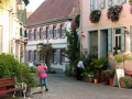 FREINSHEIM741