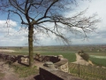 HERXHEIM03