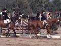 WEISENHEIMS01