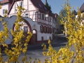 BISSERSHEIM03