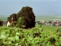 BOCKENHEIM04