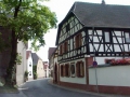 DIRMSTEIN105