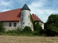 DIRMSTEIN107