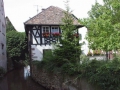 GROSSKARLBACH02_2
