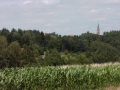 CARLSBERG2