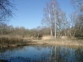 HETTENLEIDELHEIM_Erdekaut