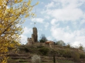 WACHENHEIM03