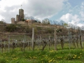 WACHENHEIM04