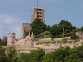 WACHENHEIM20