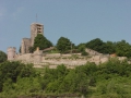 WACHENHEIMA02