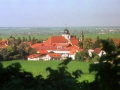 WACHENHEIMWINGERT